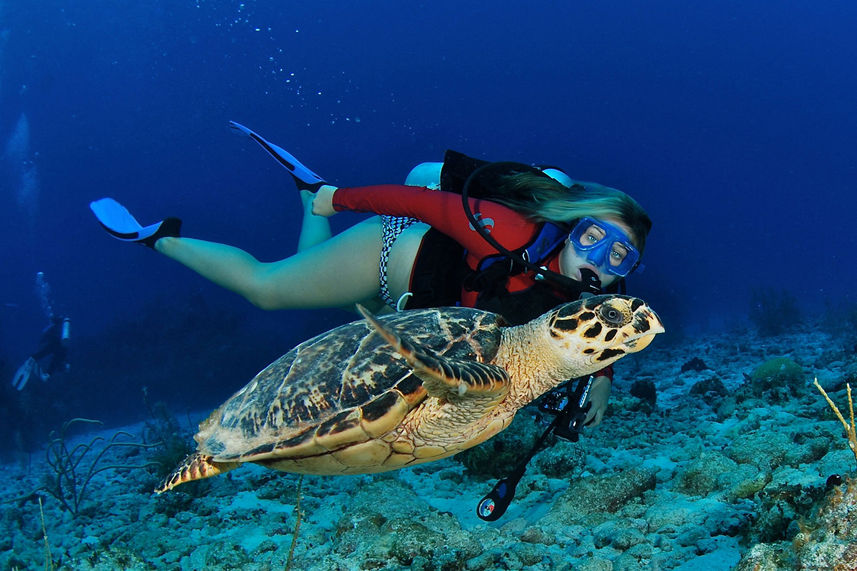 Diving with turtle