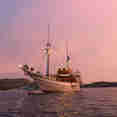 Nyaman