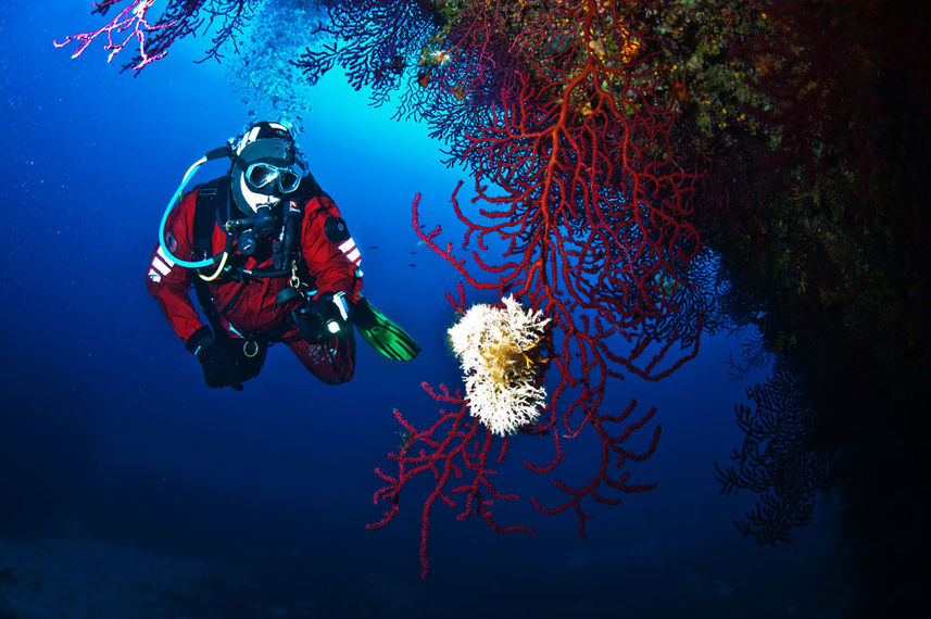 Diving