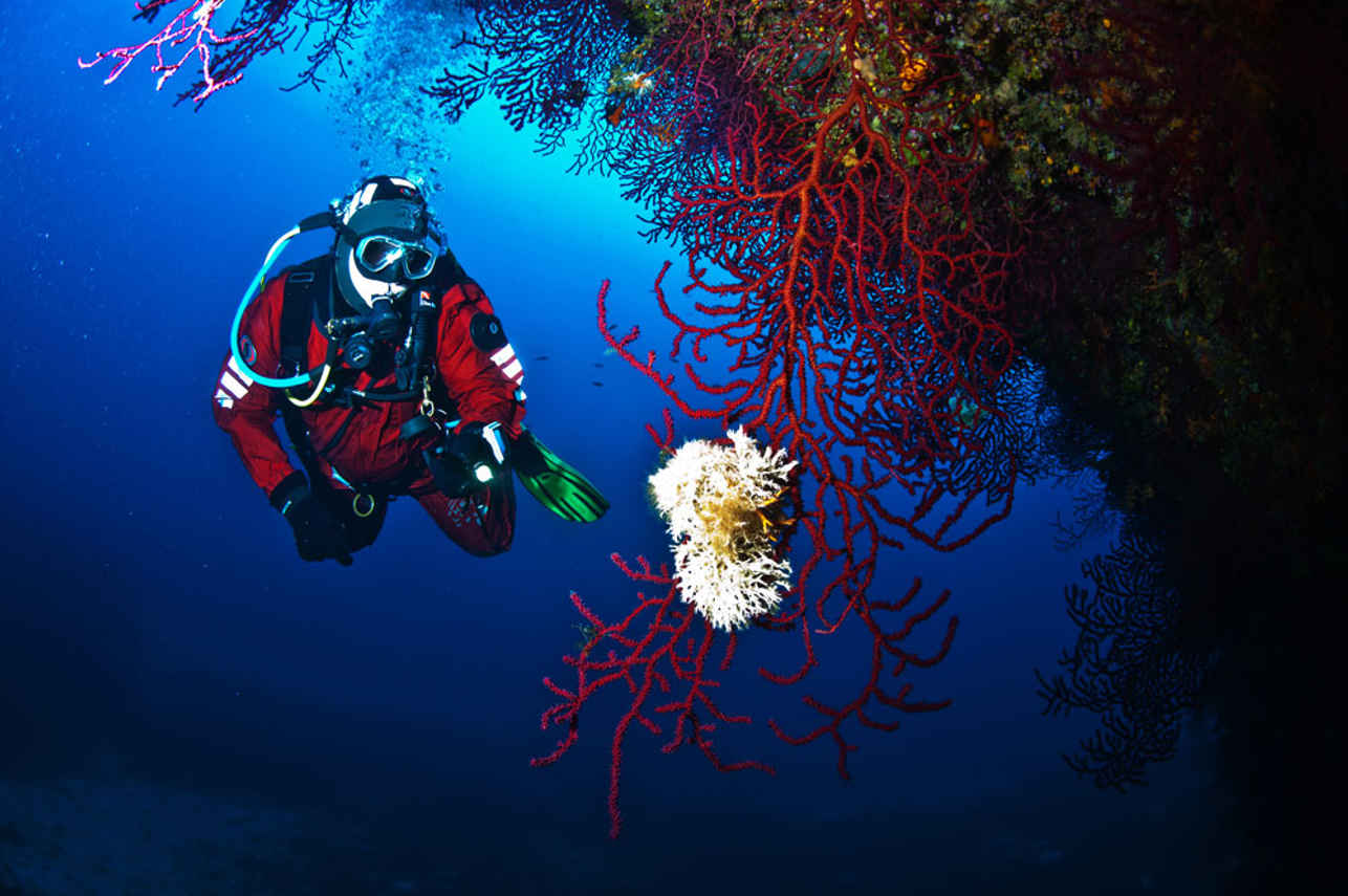 Diving