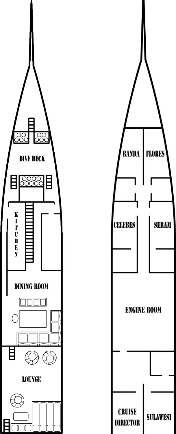 disposizione del ponte