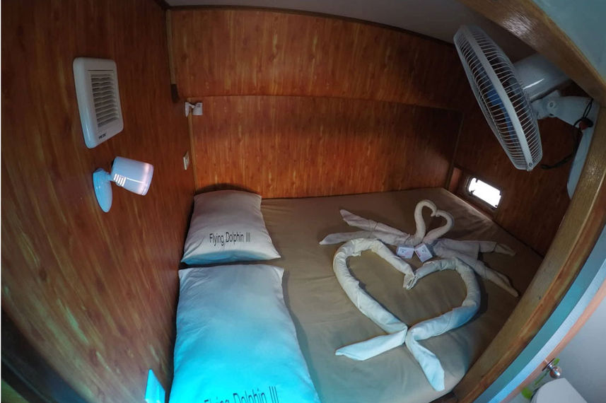 Double Cabin - Flying Dolphin 3