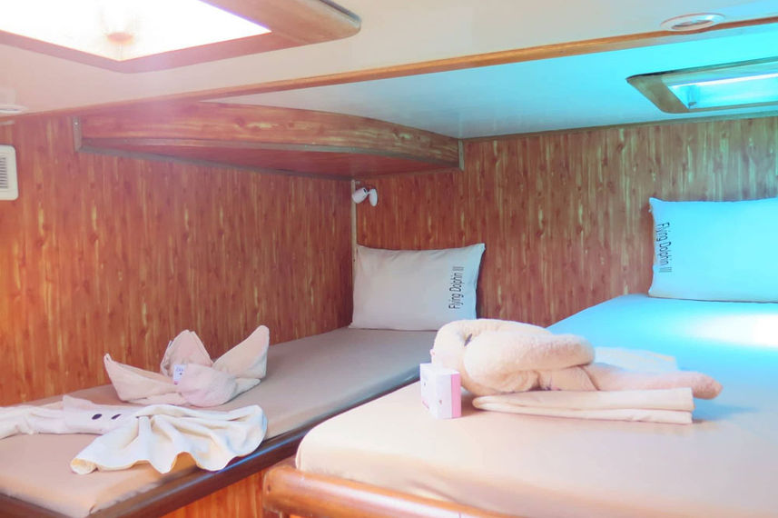 Twin Cabin - Flying Dolphin 3