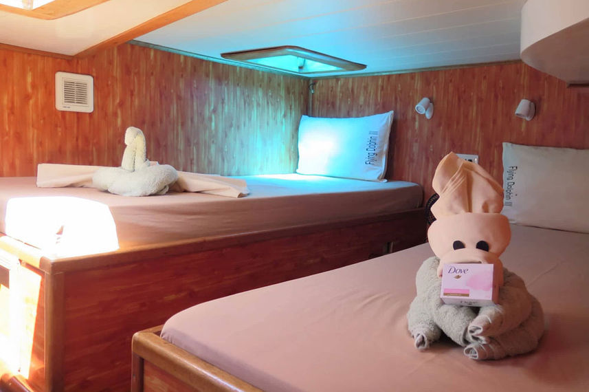 Twin Cabin - Flying Dolphin 3