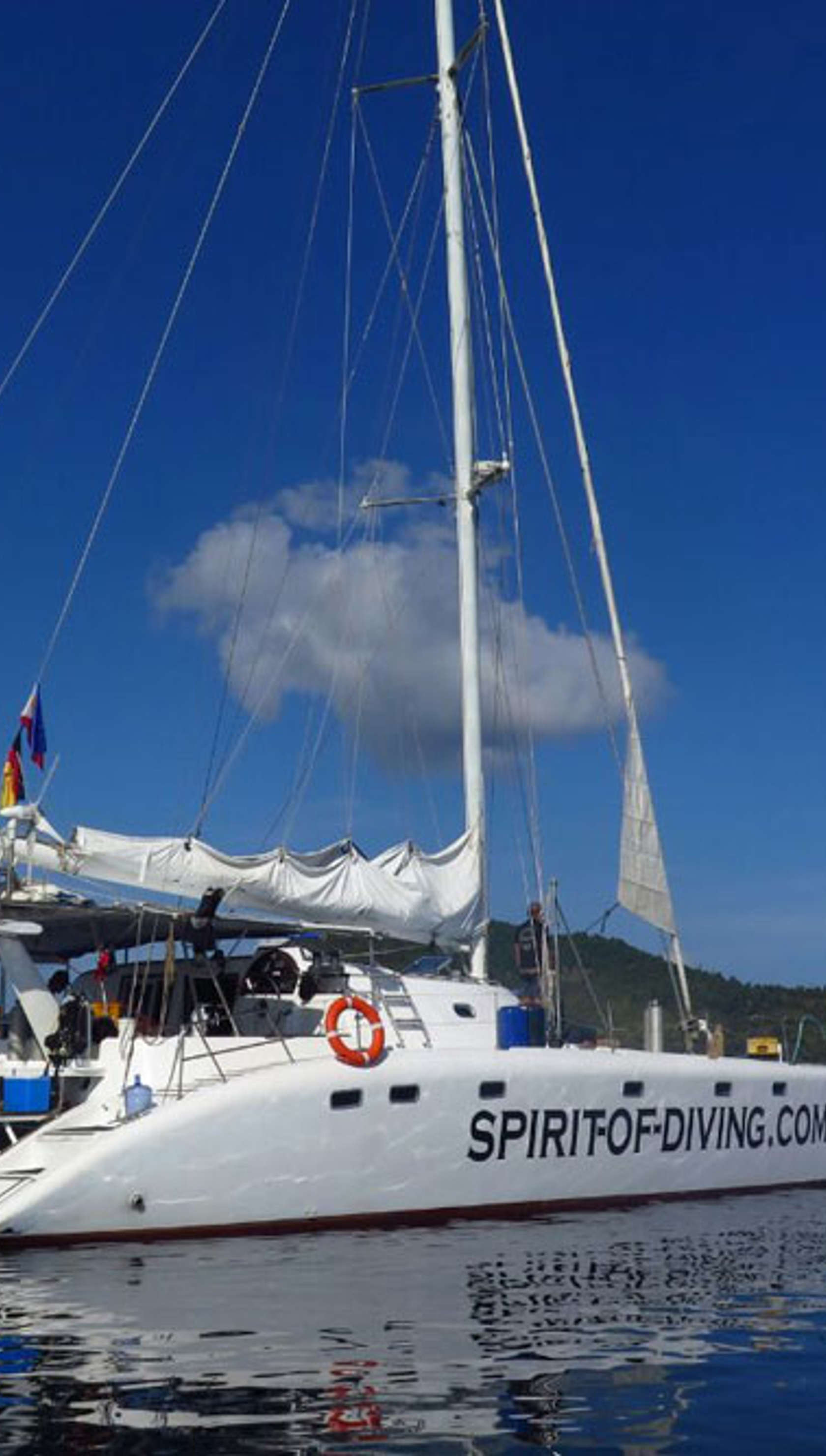 Flying Dolphin 3