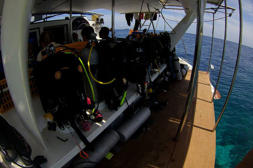 Dive Platform - Flying Dolphin 3