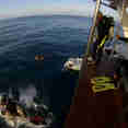 Piattaforma per subacquei - Flying Dolphin 3