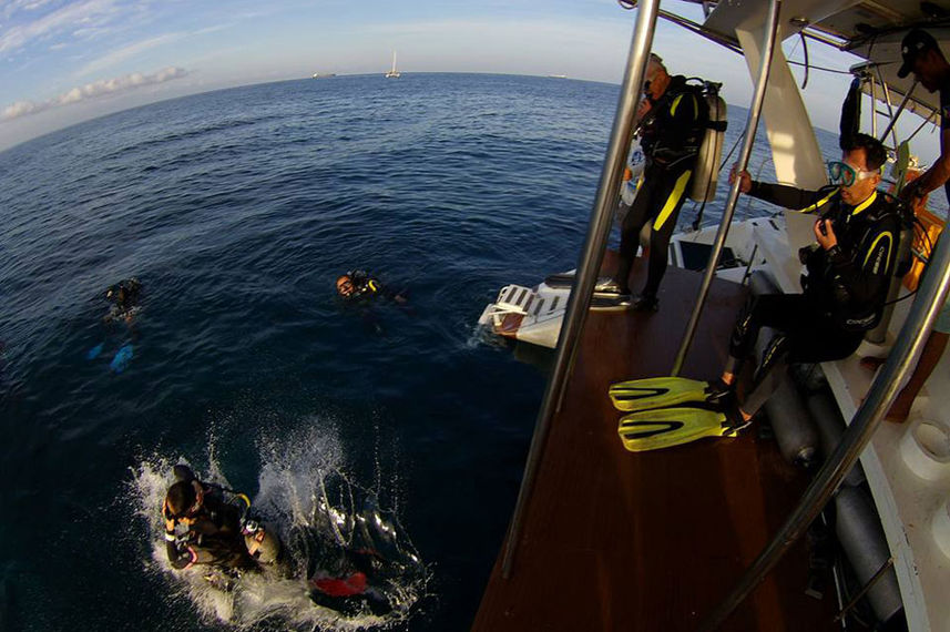 Dive Platform - Flying Dolphin 3