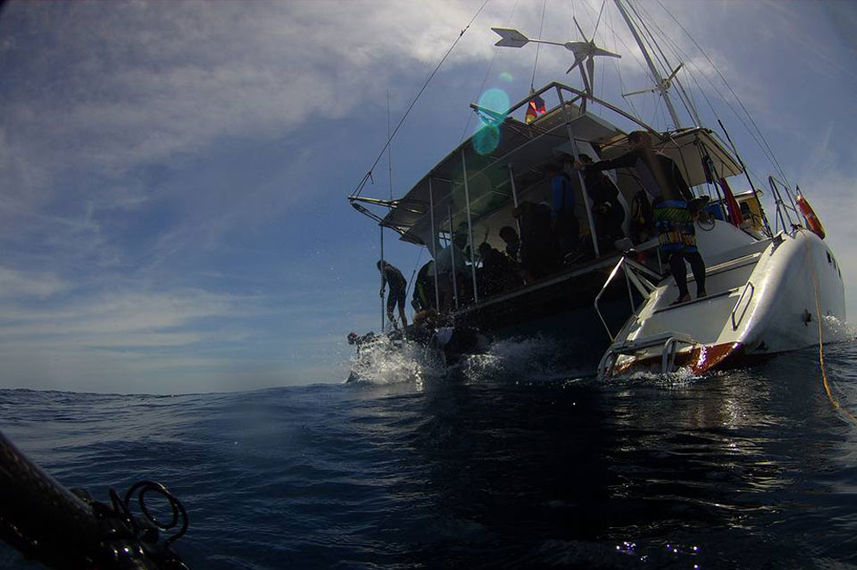 Dive Platform - Flying Dolphin 3