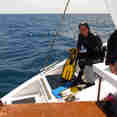 Piattaforma per subacquei - Flying Dolphin 3