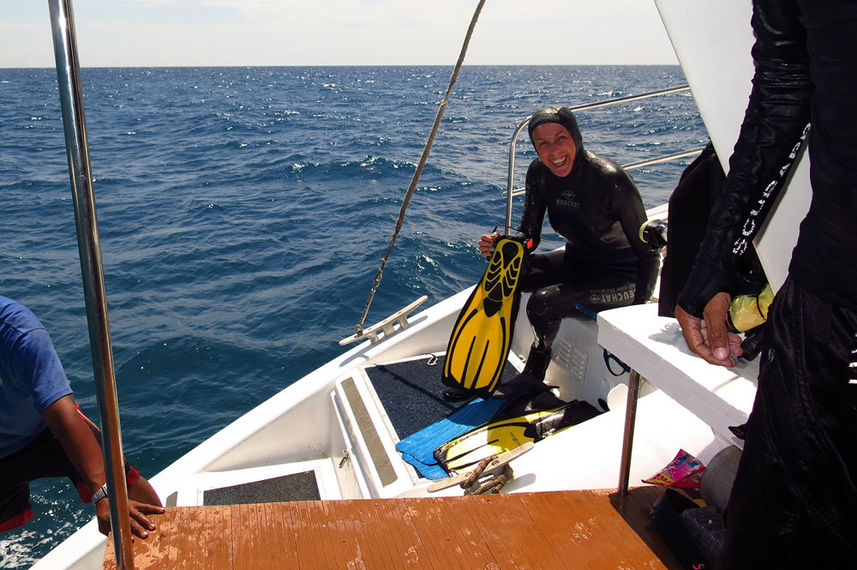 Dive Platform - Flying Dolphin 3