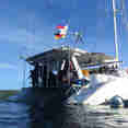 Flying Dolphin 3