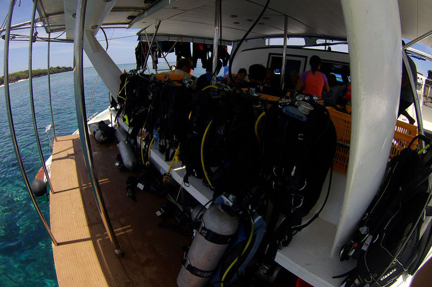 Dive Platform - Flying Dolphin 3