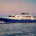 Lupus Mare