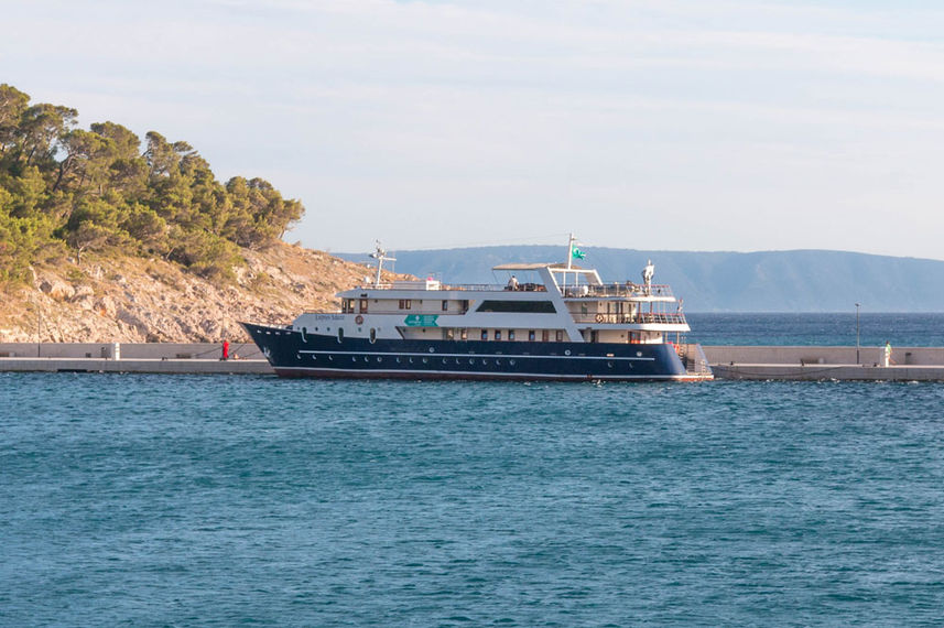Lupus Mare
