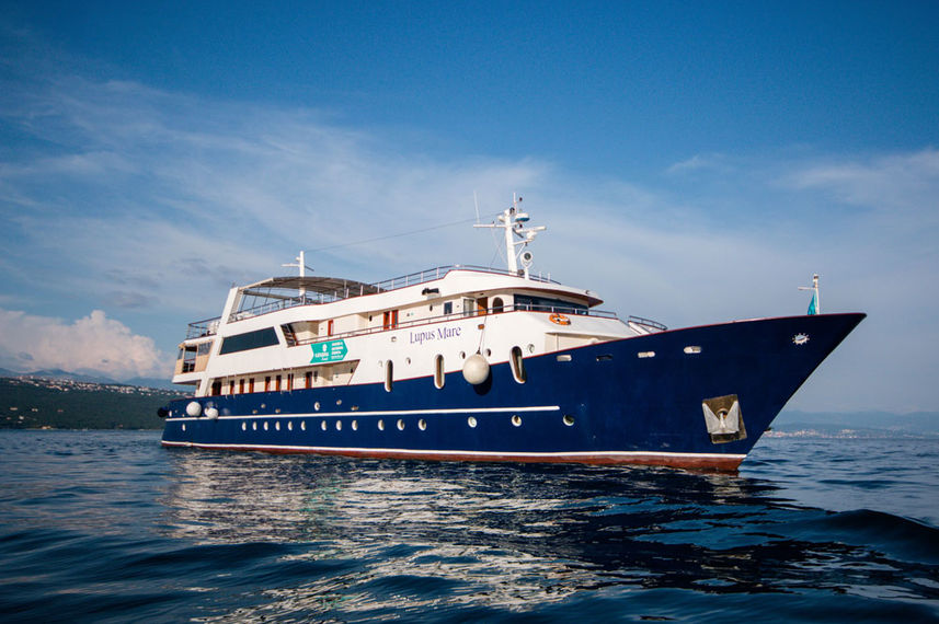 Lupus Mare