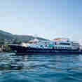 Lupus Mare