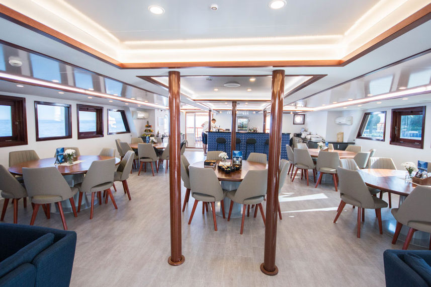 Dining Room - Lupus Mare