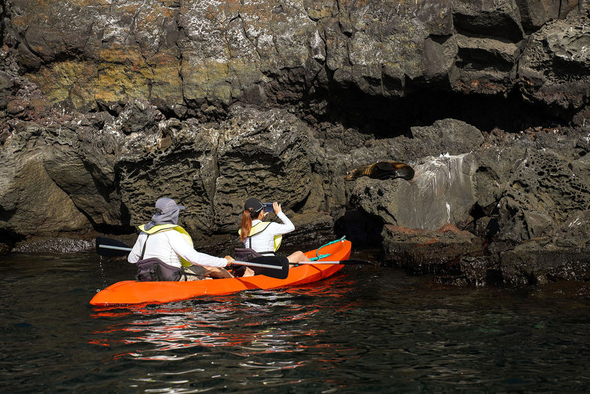 Kayak a bordo - Grand Majestic