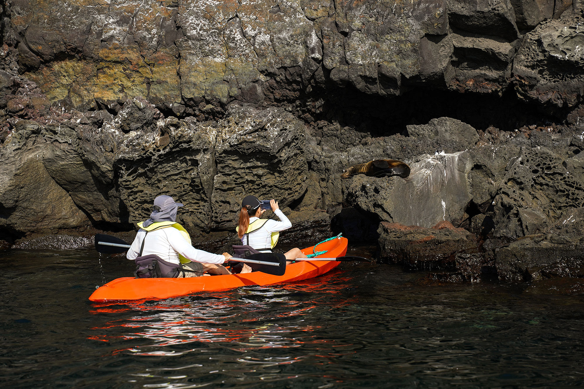 Kayak di bordo - Grand Majestic