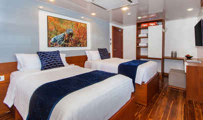 Double Cabins