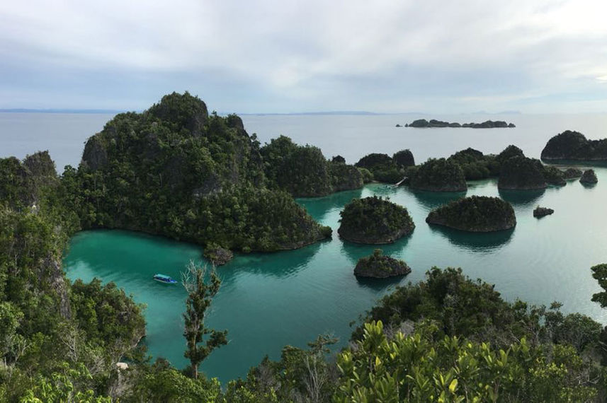 Raja Ampat View