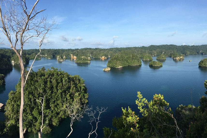 Raja Ampat View