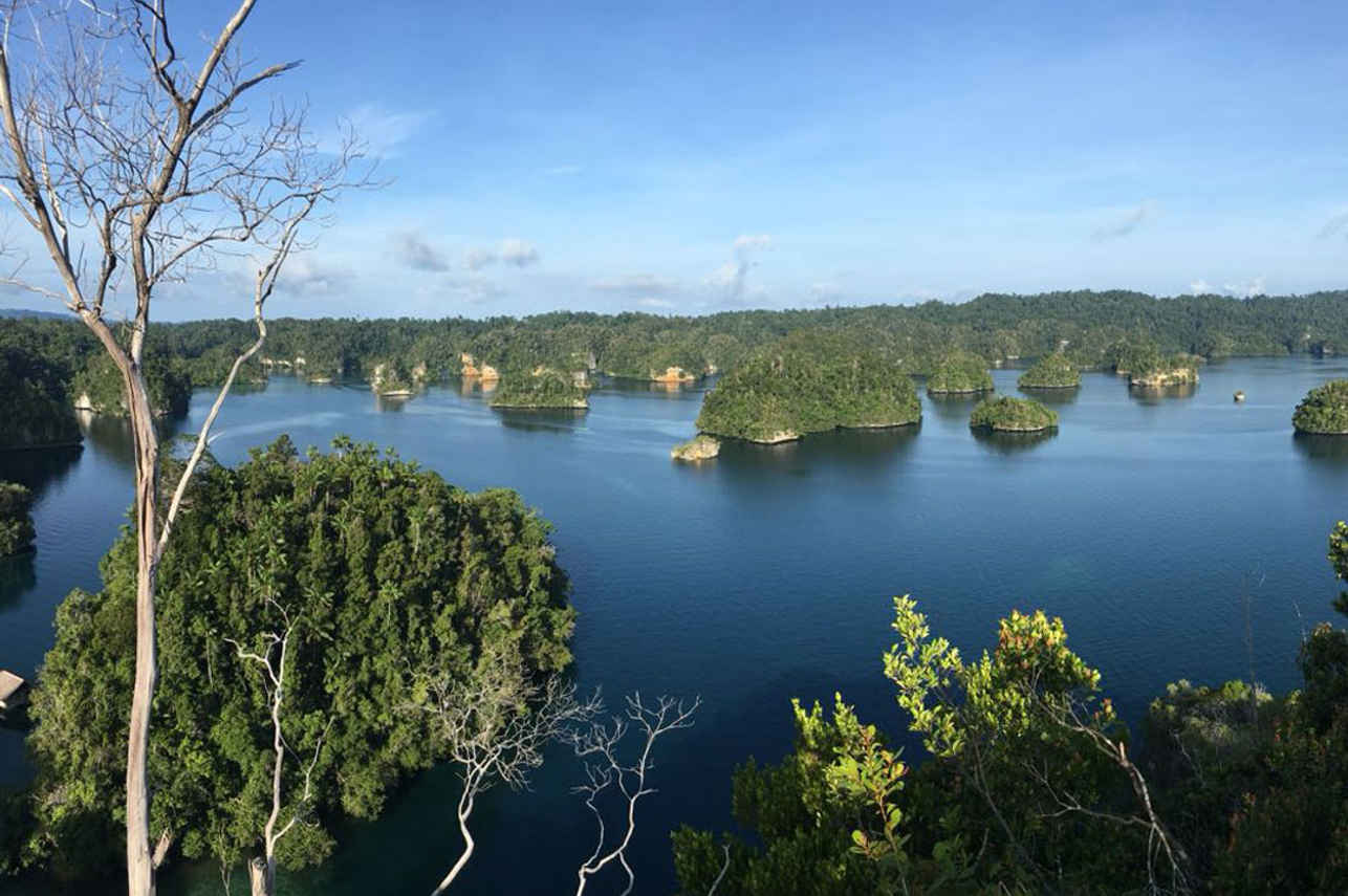 Raja Ampat View