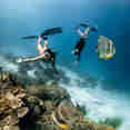 #diving