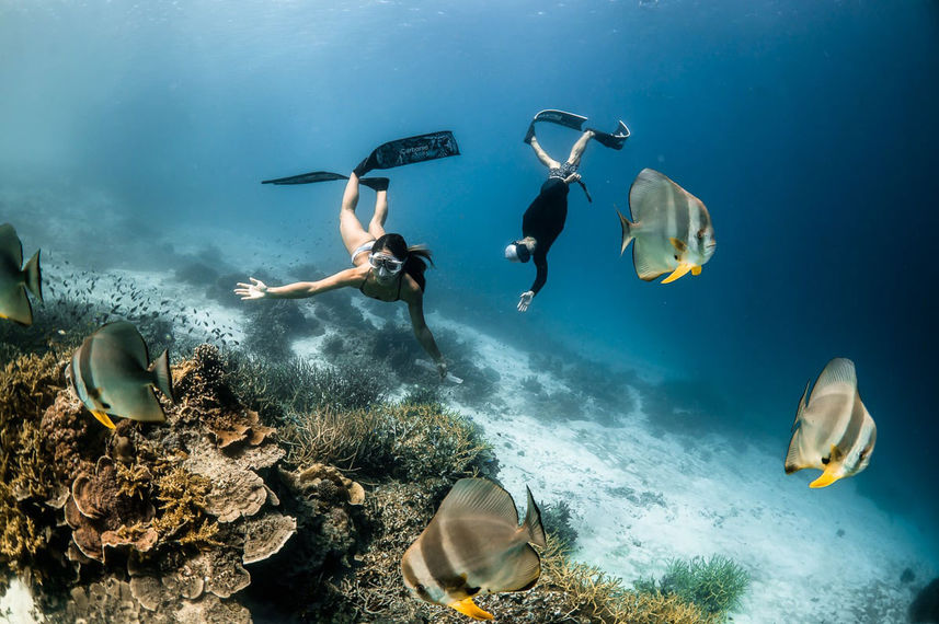 #diving