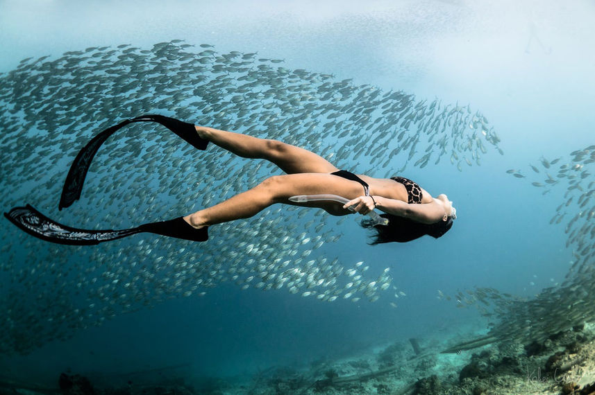 Snorkelling - Raja Ampat Adventures