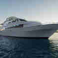 Discovery II