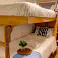 Stateroom - Resolute