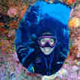 Diving