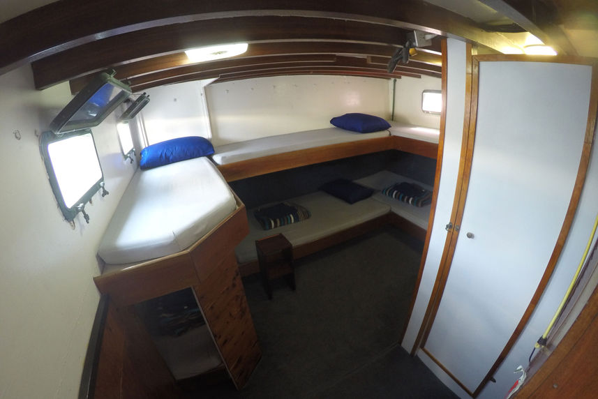 Standard Bunk Cabin - El Duque