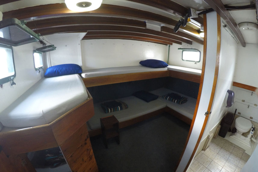 Standard Bunk Cabin - El Duque