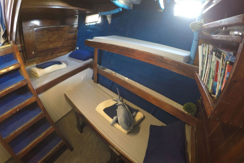 Standard Bunk Cabin - El Duque