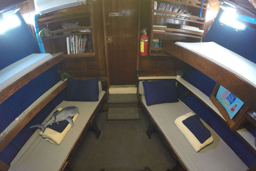 Standard Bunk Cabin - El Duque