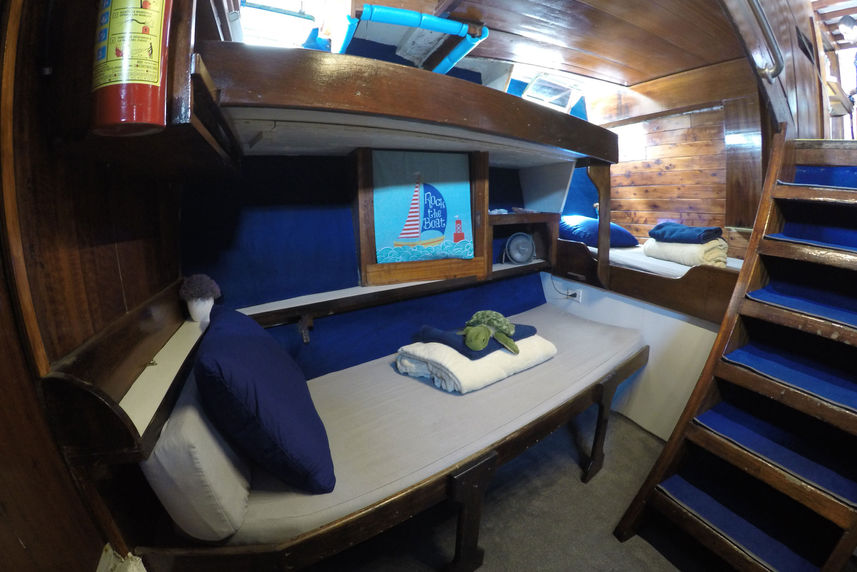 Standard Bunk Cabin - El Duque