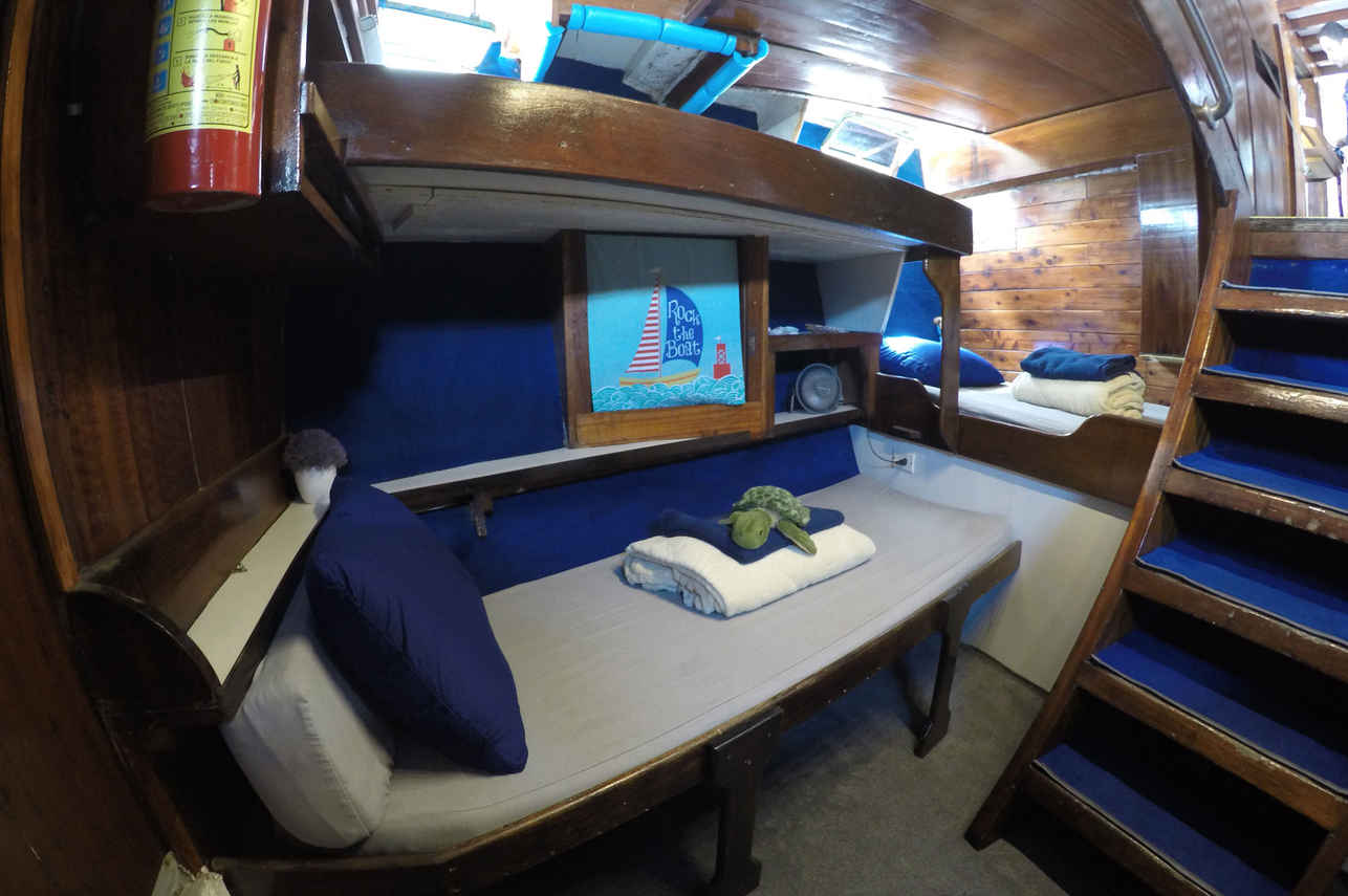 Cabine Padrão Beliche - El Duque