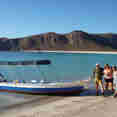Tenders - El Duque