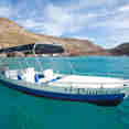 Tenders - El Duque