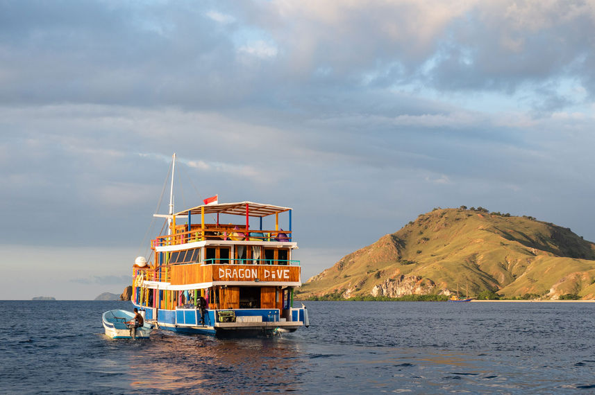 Dragon Dive Komodo