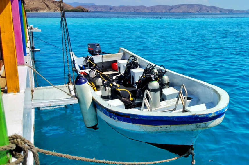 #tenderfordiving - Dragon Dive Komodo