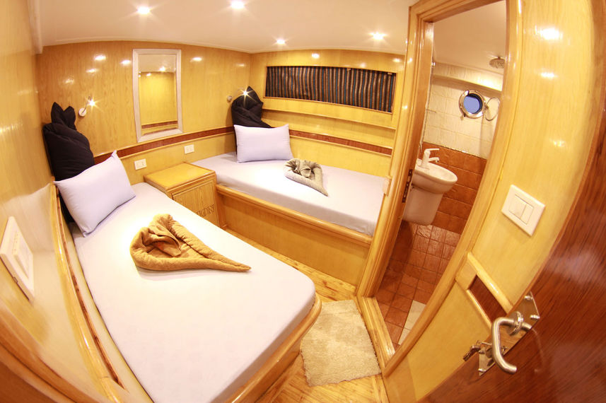 Cabine twin - Orion