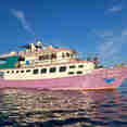 Sea World 1