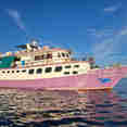 Sea World 1