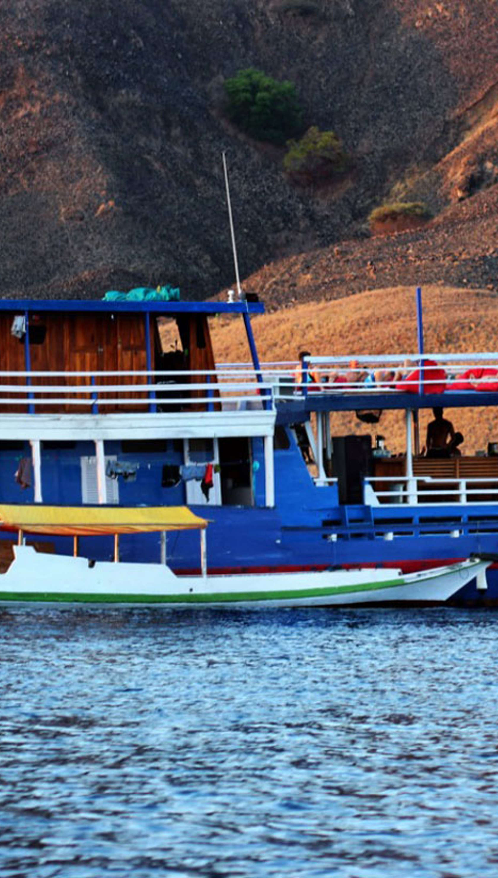 Komodo Shalom