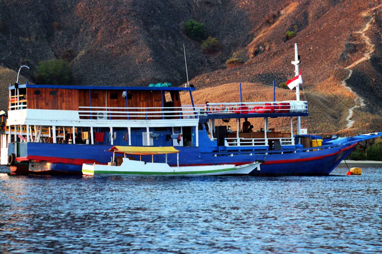 Komodo Shalom