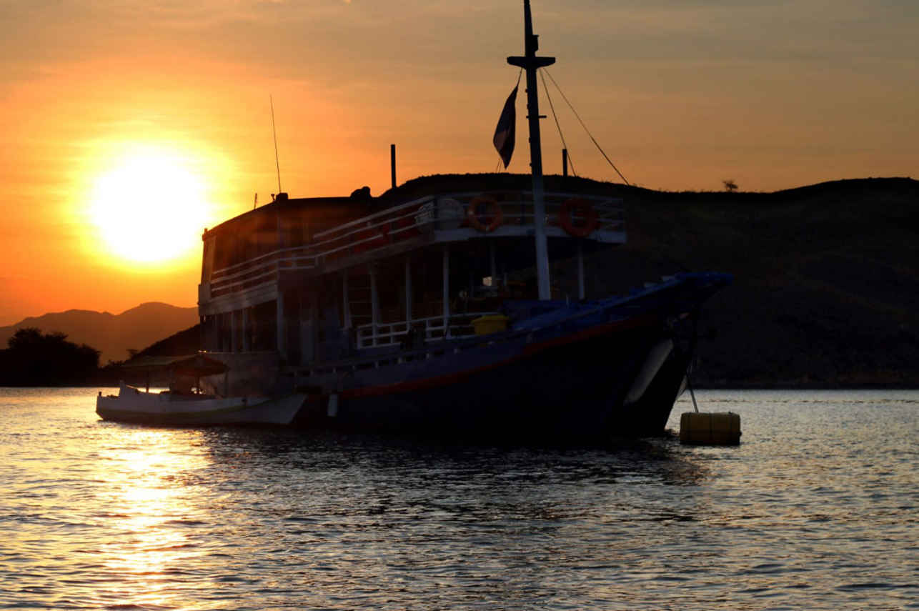 Komodo Shalom